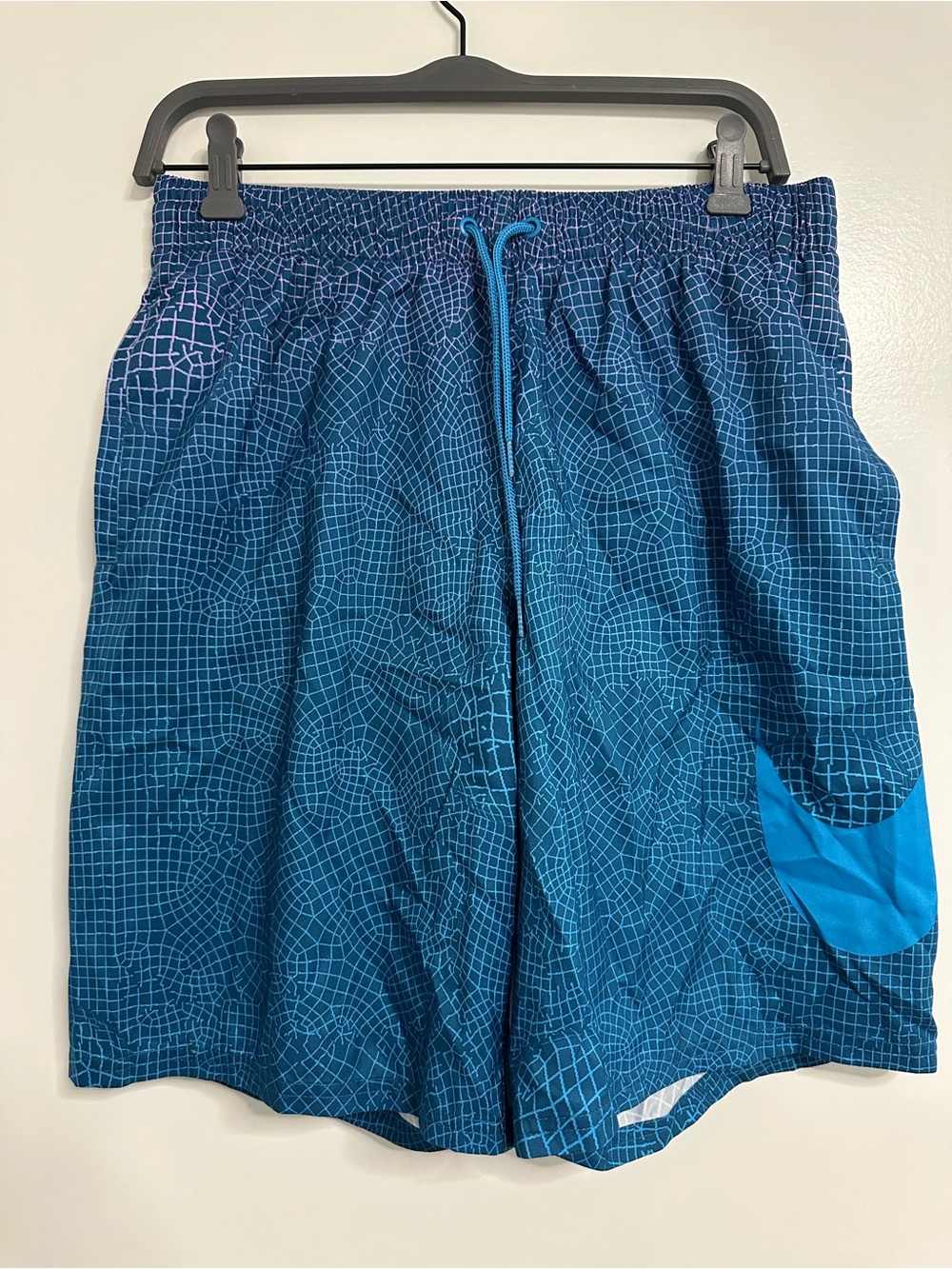 Nike Swim Trunks